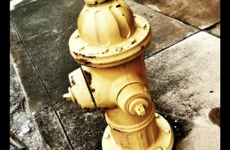 …And it was all Yellow