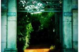 The Gate
