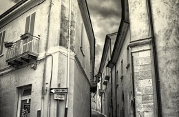 The Beauty of Black & White